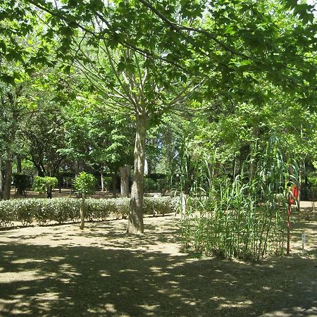 Camping Le Rebau Montblanc Εξωτερικό φωτογραφία