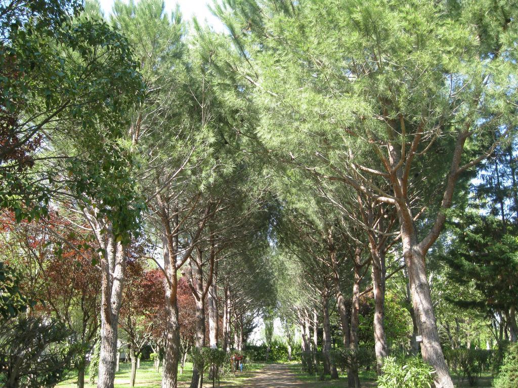 Camping Le Rebau Montblanc Εξωτερικό φωτογραφία